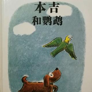 本吉和鹦鹉