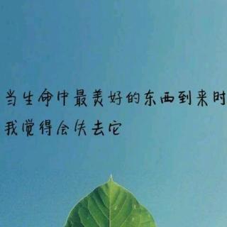 人性的空瓶子