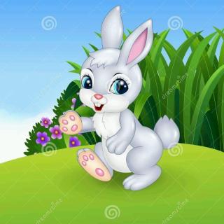 寻找自信的兔宝宝