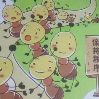 【31】东方红园长妈妈睡前故事《蚂蚁为什么排着队走路》