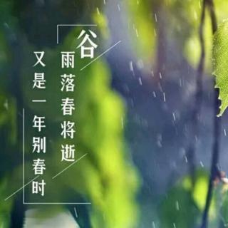 《谷雨落，春将逝，又是一年别春时》