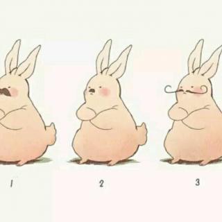 三只兔子的故事，三种爱情——文 卢思浩