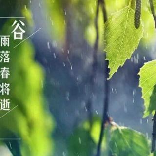 《谷雨落，春将逝》