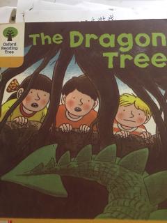 the dragon tree