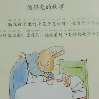 绘本故事～彼得兔的故事
