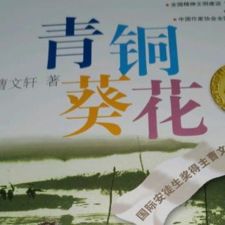 青铜葵花长篇小说第三章no.