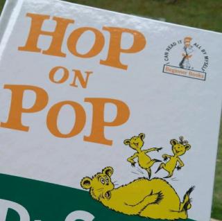 Book Talk - Hop on Pop