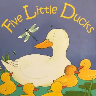 【宝贝读】Five Little Ducks