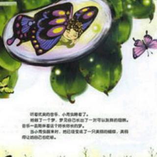 《小青虫🐛的梦🍃》