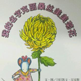 我的名字克丽桑丝美美菊花