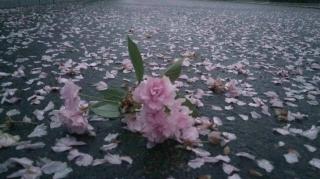 雨巷 作者：戴望舒