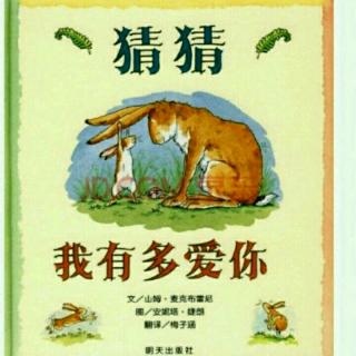 启诺国际幼儿园故事屋《猜猜我有多爱你》第13天