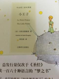 Little Prince -1