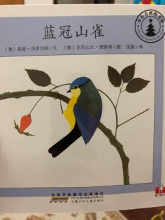 小小自然图书馆-蓝冠山雀