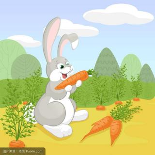 儿童故事《兔子，站住》