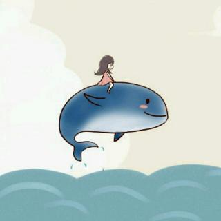 化身孤岛的鲸