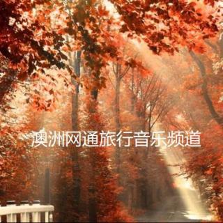 【唯美钢琴】《秋天的童话》优雅舒缓,用音乐感动心灵