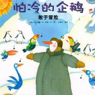 亲子乐园赵芳老师分享睡前故事《怕冷的企鹅🐧》