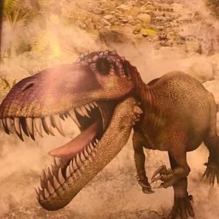 朝青四班-郝泽林-恐龙百科之蛮龙