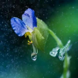 风雨中把头抬起，辉煌中把心放低