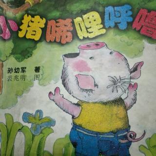 小猪唏哩呼噜91-95
