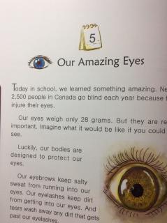 3-5 Our Amazing Eyes