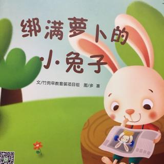 绑满萝卜的小兔子