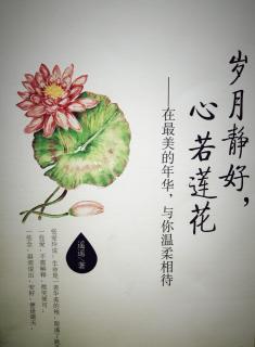 岁月静好，心若莲花（第一辑）