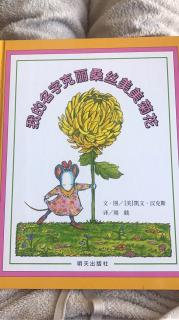 我的名字克里桑斯美美菊花