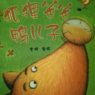 亲子乐园赵芳老师分享睡前故事《狐狸爸爸鸭儿子》