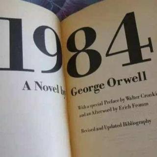 乔治奥威尔：《1984》第二章