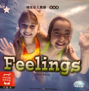 Feelings