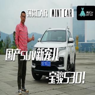 薄荷Car：国产SUV新宠儿 — 宝骏530！