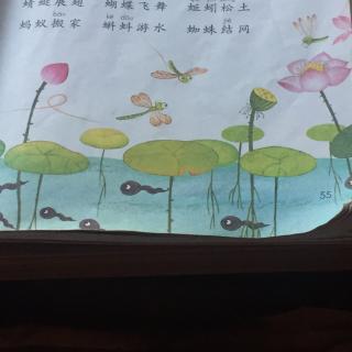 背诵《动物儿歌》