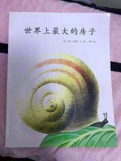 世界上最大的房子