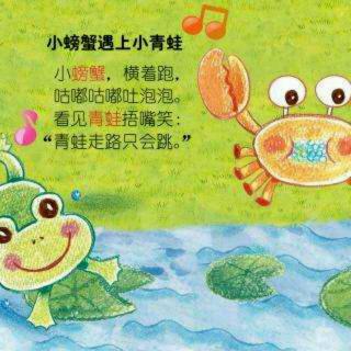 蓝天星雨幼儿园好故事分享《青蛙🐸救小螃蟹》