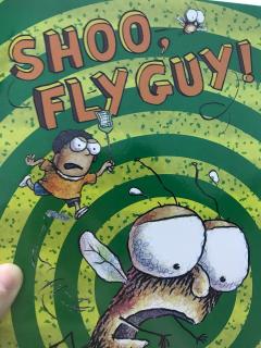 shoo fly guy