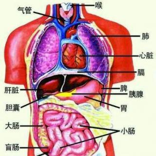 老中医养生：经络不通，补什么都没用！经络通畅百病消！