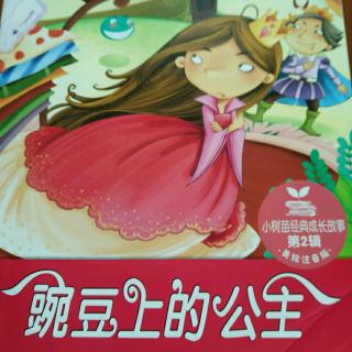 豌豆上的公主👸