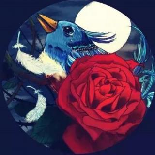 The nightingale and the rose 夜莺与玫瑰 I