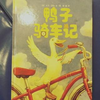 鸭子骑车记🚲