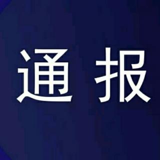 概率统治世界！