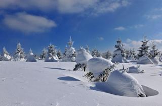 林海雪原第七天导读