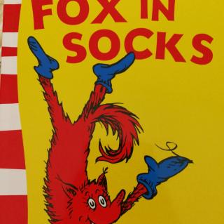 FOX IN SOCKS