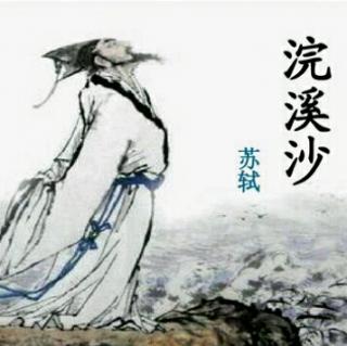 《浣溪沙.细雨斜风作晓寒》宋  苏轼