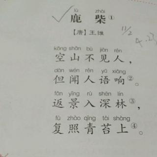 虞鹏程《鹿柴①》