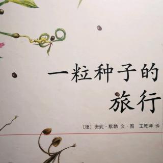 蜜蜜钟故事会91：《一粒种子的旅行》