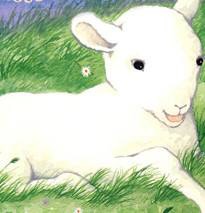 睡前故事—《一只小羊羔》
