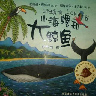 小海螺和大鲸鱼