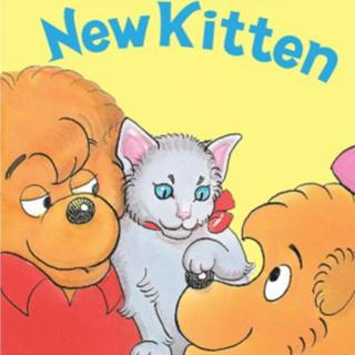 【听故事学英语】《New Kitten 新来的猫咪》